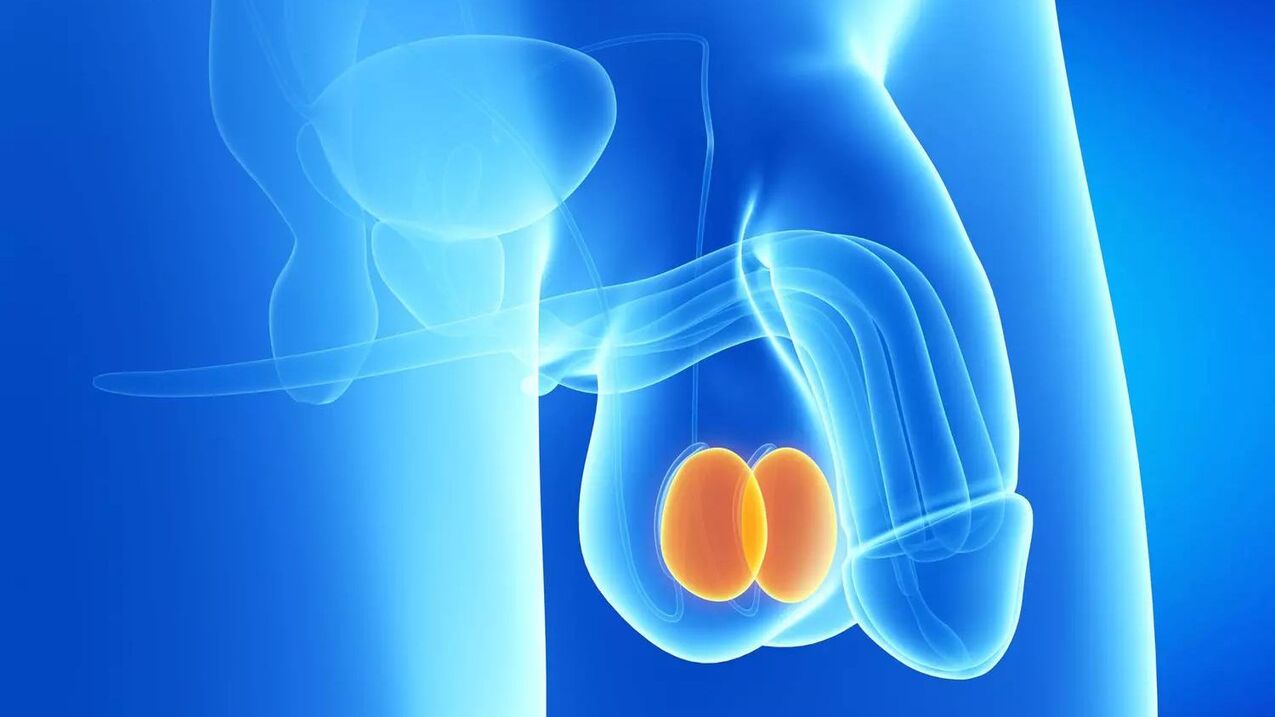 penis büyütme ameliyatı maliyeti