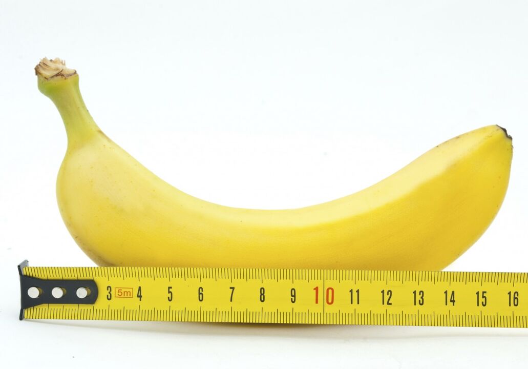normal penis büyüklüğü
